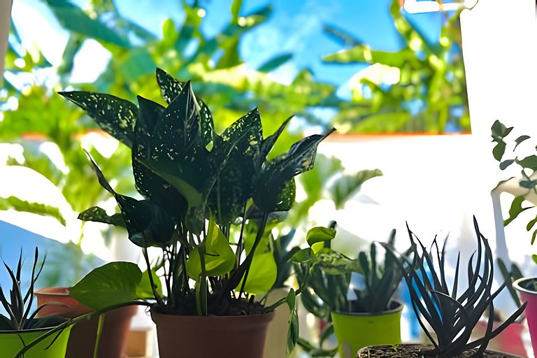 Vive a 5min del centro 3HAB con A/C Cochera Jardín